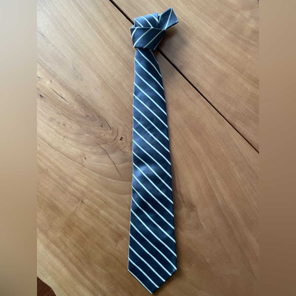Elegant Striped Blue Tie
